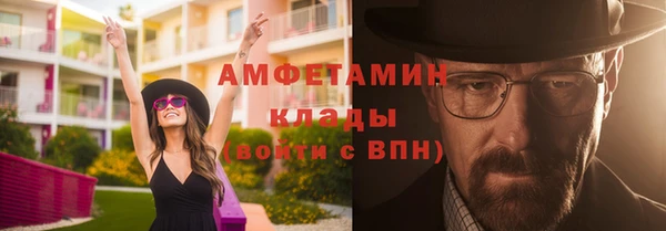 гашик Ветлуга