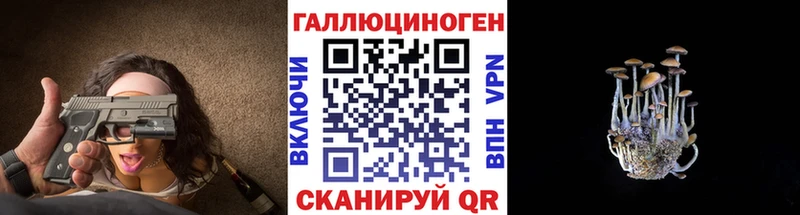 блэк спрут зеркало  Котлас  Галлюциногенные грибы MAGIC MUSHROOMS 